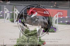 ref. photo 3403083